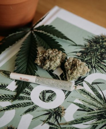 which of the following are true about marijuana